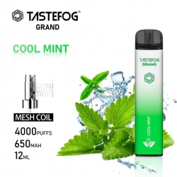TASTEFOG Grand Disposable E-cigarette Puff