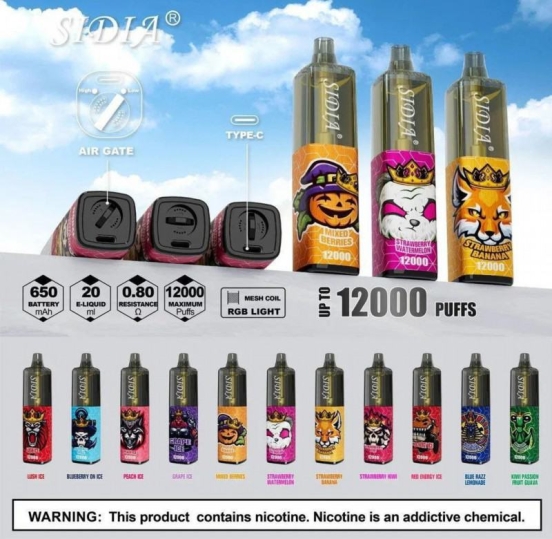 2024's Top Sellers Smooth Hit Disposable Vape Vapme Sidia 12000 12k