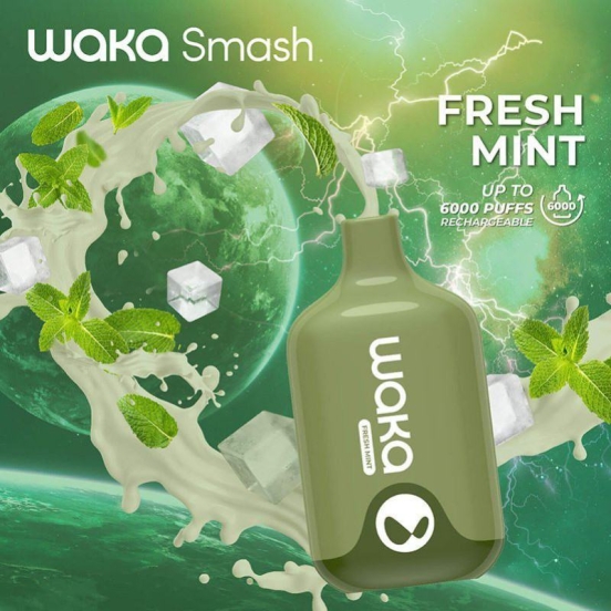 Wholesale Vape Bar Volestech Waka Somatch 6000 Puffs