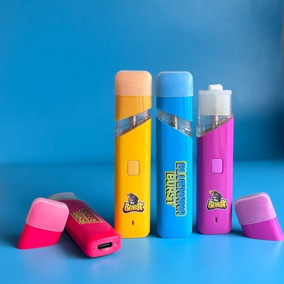 Top-notch Vaping rixe 2ml Disposable Pod Disposable Vape Device