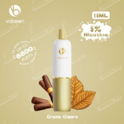Vabeen Vabeen Plum Max 6800 Puffs Vape Disposable