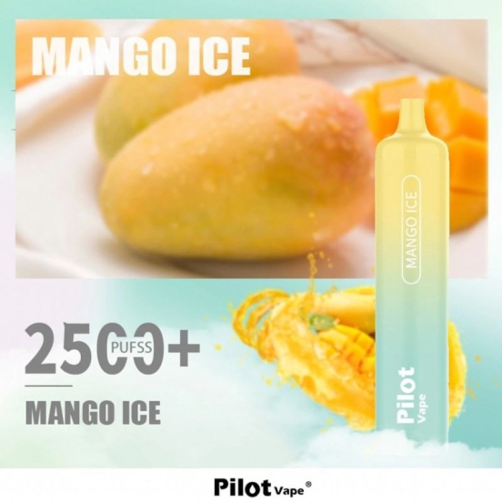 Disposable AIM Vape Pen Pilot Max  12 Flavors 2500 Puffs Wholesale Price