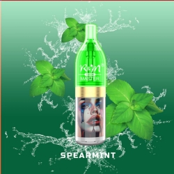 Disposable Vape Volestech R&m Master 10000 Puffs Brands