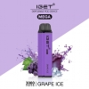 Vape Bars Iget Mega 3000 Puffs