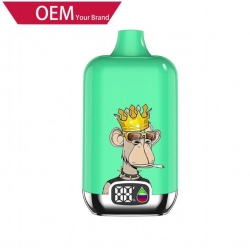 OEM ODM 12k Puffs Disposable Vape Pens