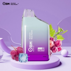 Sfog Pen 10 Flavors 10000 Puffs Hits Vape Puffs