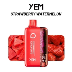 Puff YEM Bm12s-84tz 12000 Puffs Disposable E-cigarette