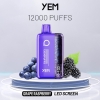 YEM Puff Bm12s-33 Electronic Cigarette