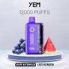 Vapes YEM Bm12s-29