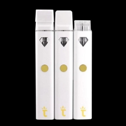 Customize Disposable Vape Brands Model D21