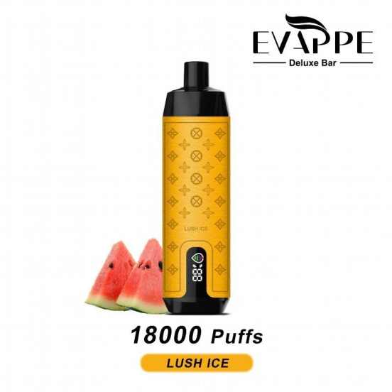 2024's Premium Vape Pen Evappe Vapes Wholesale Evappe Deluxe 18000