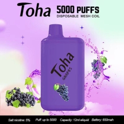 Vape Disposable Baish Toha Mesh Coil 5000