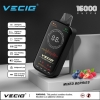 Disposable Vapes OEM Vecig Fs Turbo 16000 Puffs