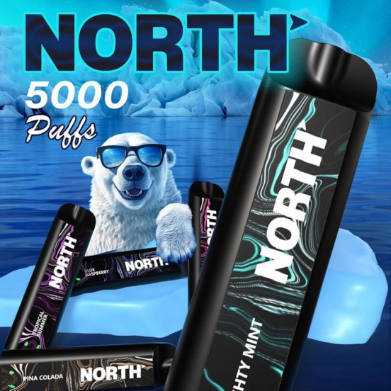 Volestech Disposable Vape Brands North Disposable 5000 Puffs