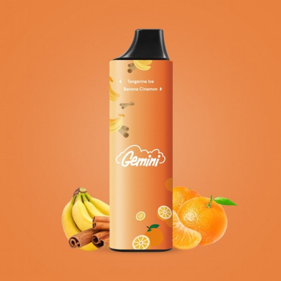 Customizable Cloupor Gemini Dual Flavors Wholesale Price Disposable Vape Bars