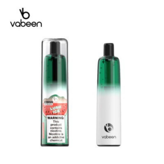 Premium Vape Pen Wholesale Vabeen Jiandun Vabeen Plum 5000 Puffs Disposable Vape Bar