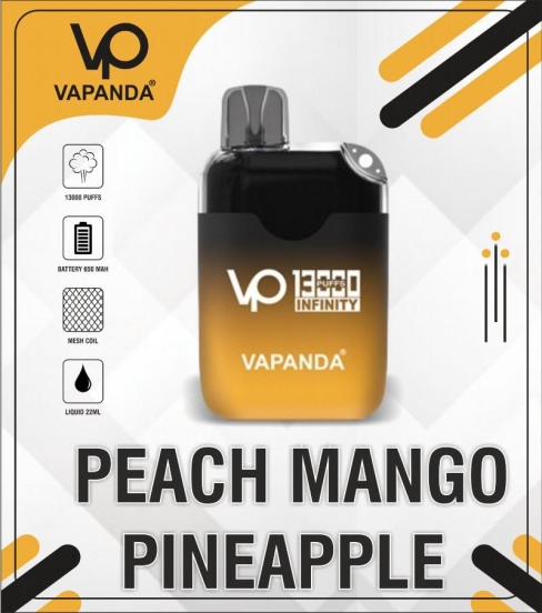 Disposable Vapes Vapanda Vp Infinity 13000 15000 Puffs Wholesale