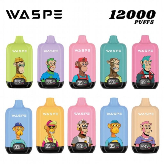 Best Disposable Waspe E-cigarette Box 12000 Puffs Nicotine