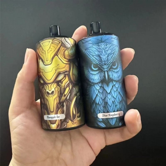 OEM ODM Puff 2023 Newest 10000 Puffs Electronic Cigarette