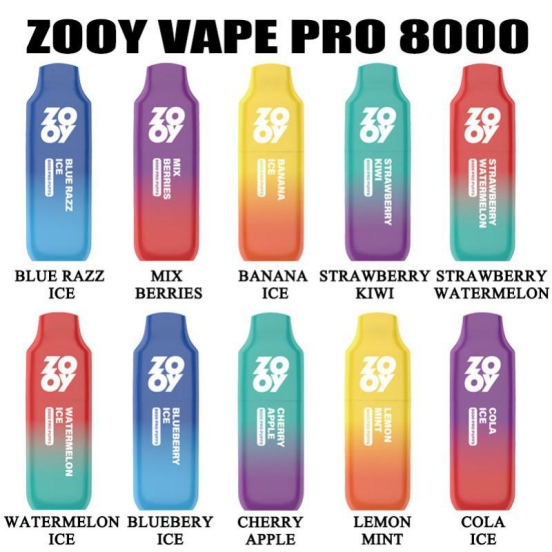 Zooy Wholesale Disposable Vape Pen Pro 8000 Puffs