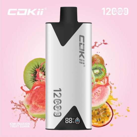 Disposable Cokii Vape Cokii 12000 Puffs Pens Wholesale
