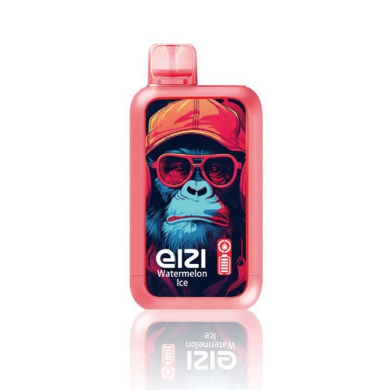 Disposable Vape Brands Customizable Eizi 10000 Puffs