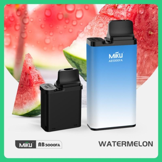 2024's Top Sellers Miku Ab5000fa1611 Disposable Big Hit Vape