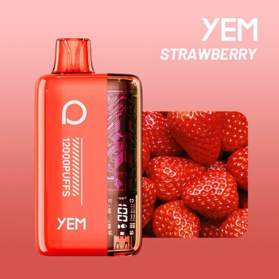 Wholesale Disposable Vapes YEM Bm12s-51mn 12000 Puffs