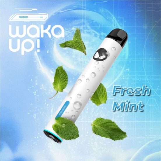 Disposable Vape Baish Waka Solo 1800 Brands