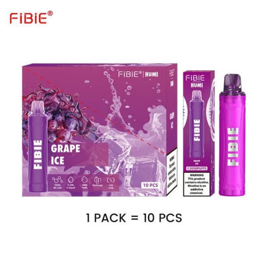 FIBIE 3000 About 3000 Puffs Disposable Pen