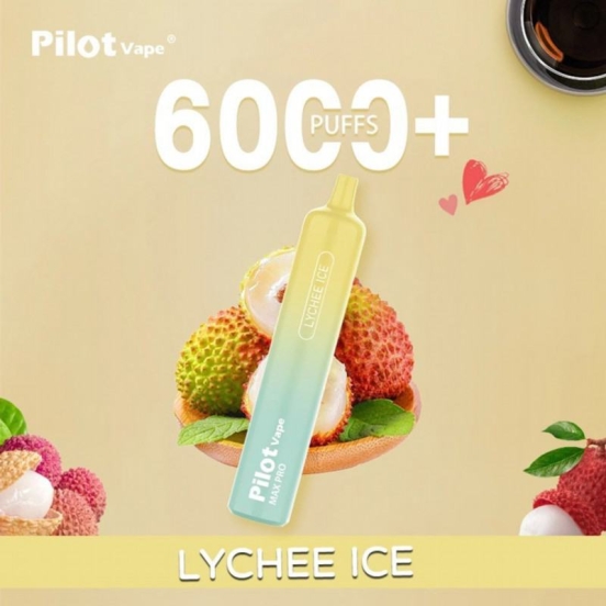 Top Selling Vape Pen Wholesale pilot 6000 Pilot 6000 Puffs