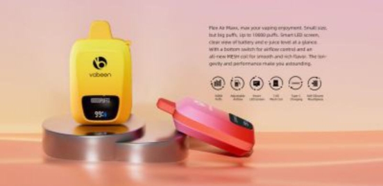 Vabeen Vabeen Flex Air Maxx 10000 Puffs Wholesale Disposable Vape Bars