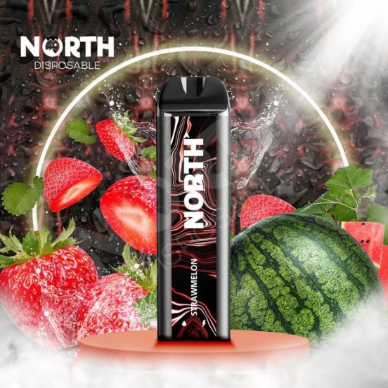 Cheap Pricing North Disposable 5000 Puffs Vape Flavors