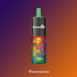 Baish Anna 12000 Rechargeablehealthwape Puffs Pen Vape