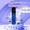 Bang Pens Ezgoing-4500 2800 Puffs Hits Vape Puffs