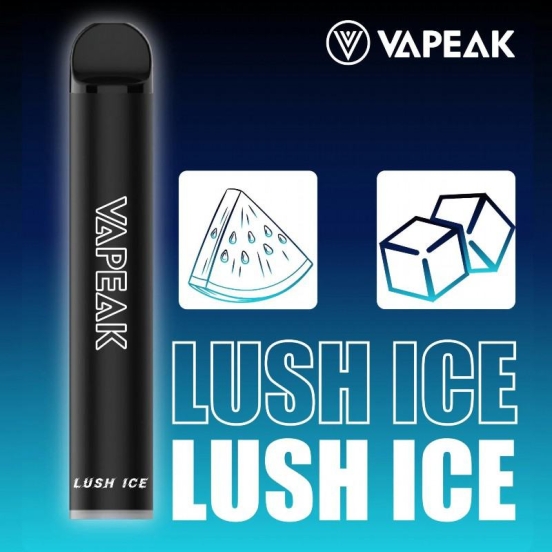 Premium Vape Pen Wholesale Vepeak Vepeak Mesh06 1500+ Price