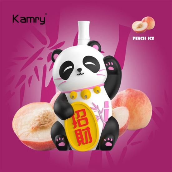 Premium Kamry 8000 Puffs Vapes