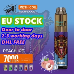 Customized 7000 Puffs Hits Vape