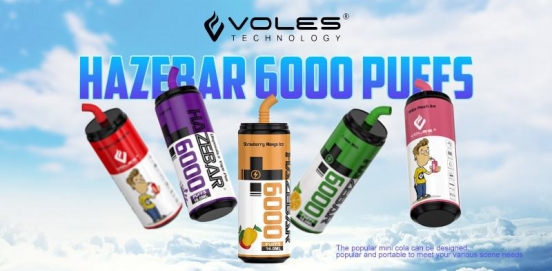 Top Picks 2024 RANDM Wholesale Haze 6000 8000 Puffs Disposable Vape