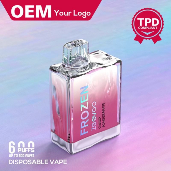2024 Best Selling Your Logo Vape Frozen 600 Puffs Nederland