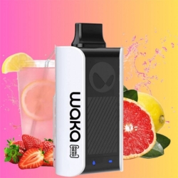 OEM ODM Vape Waka 10k