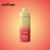 Ocitytimes/White Label Ot043  Disposable Led 12000 Puffs Vape