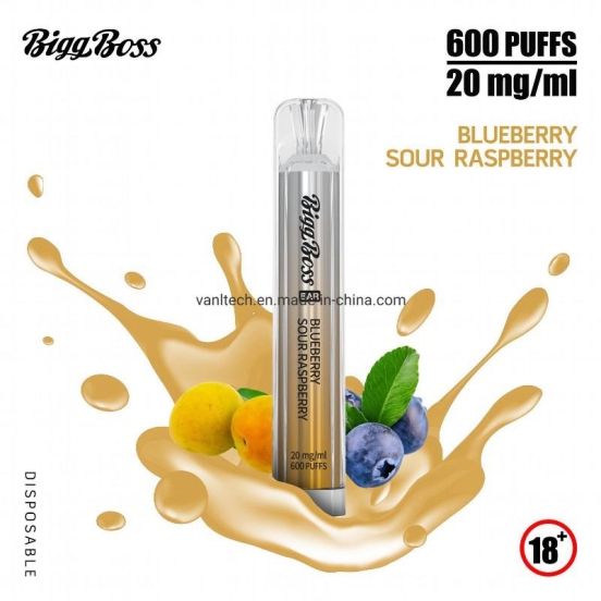 Hot Selling VANLT Biggboss-42 Vape Bar