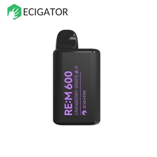 Best Quality eCigator Ecigator Rem600 800 Puffs Electronic Cigarette