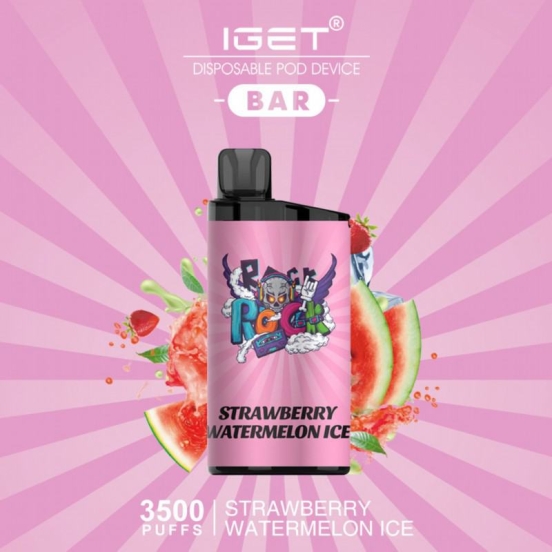 Best Vape Wholesale Disposable Vape Iget 3000 Puffs