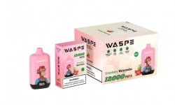 Vape Waspe Digital Box 12000 Puffs