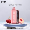 YEM Bm12s-12mn 12000 Puffs Vapes
