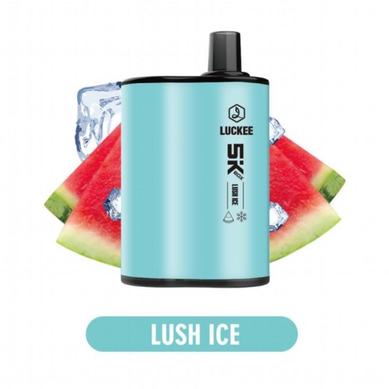2024 Best Selling LUCKEE 5k Box 5000 Puffs Wholesale Price Disposable Vape Bar