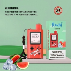 Disposable Smok Vape Fmt027 About 600(2ml) Puffs Brands