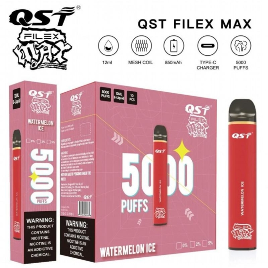 Big Puff Bars Plus QST Filex Max 5000 Puffs Vape